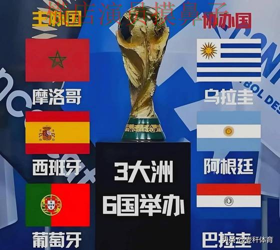 世界杯高清直播期间热门世界杯投注平台合集盘点与直播入口分析 世界杯高清直播期间热门世界杯投注平台合集盘点与直播入口分析